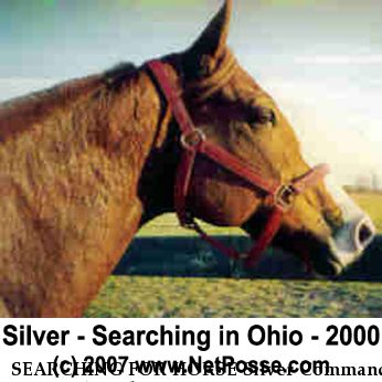 SEARCHING FOR HORSE Silver Command, Near Oak Harbor, OH, 43469